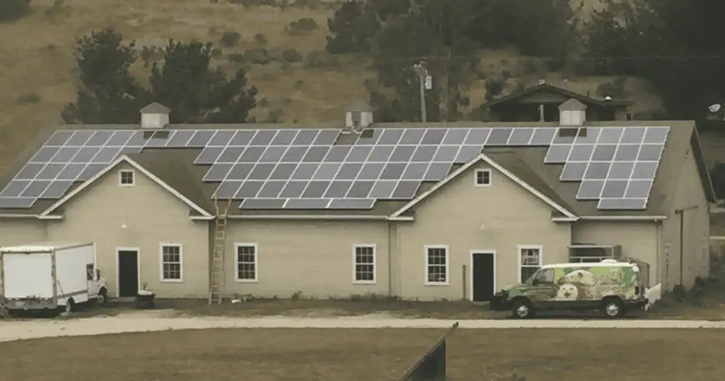 Wild for Solar Celebrating Wildlife Associates' Solar Energy System