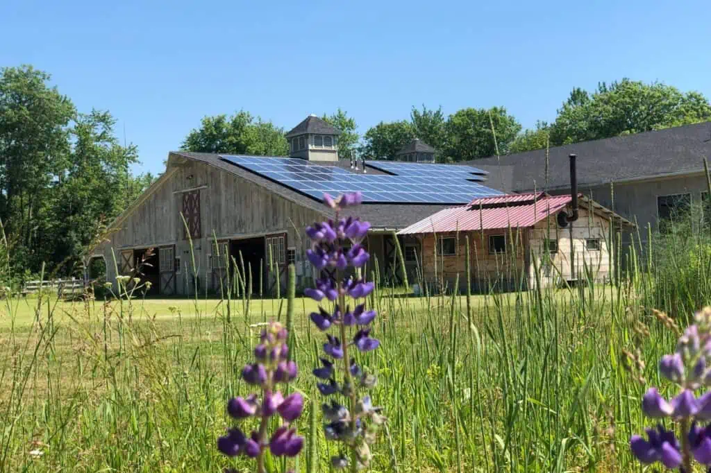 solar panels on an old large barn