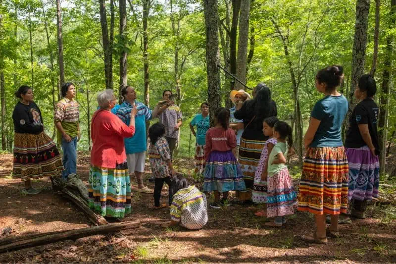 group of people standing around a tree in the forest