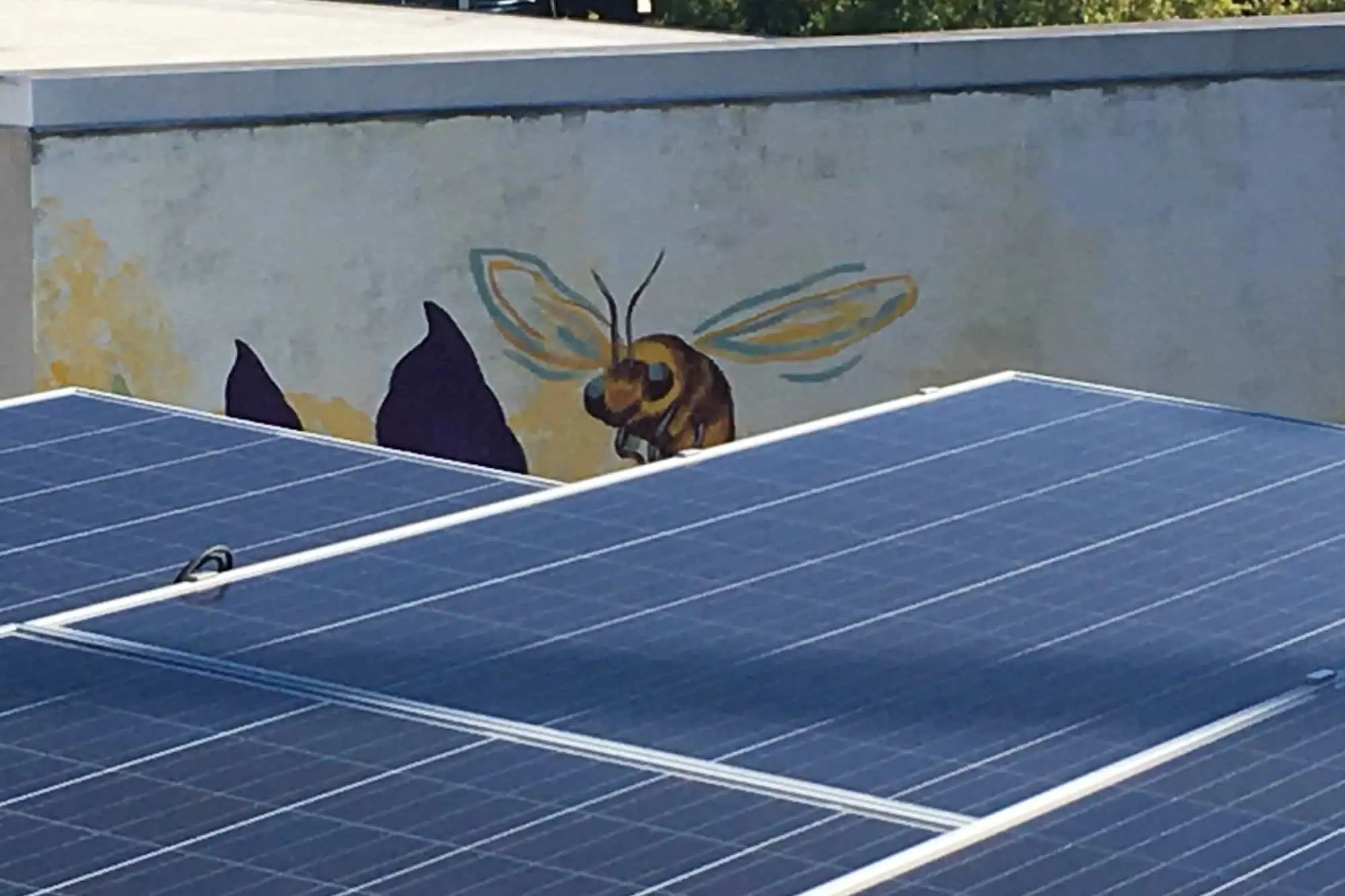 large solar panels with a bee in a mural behind them