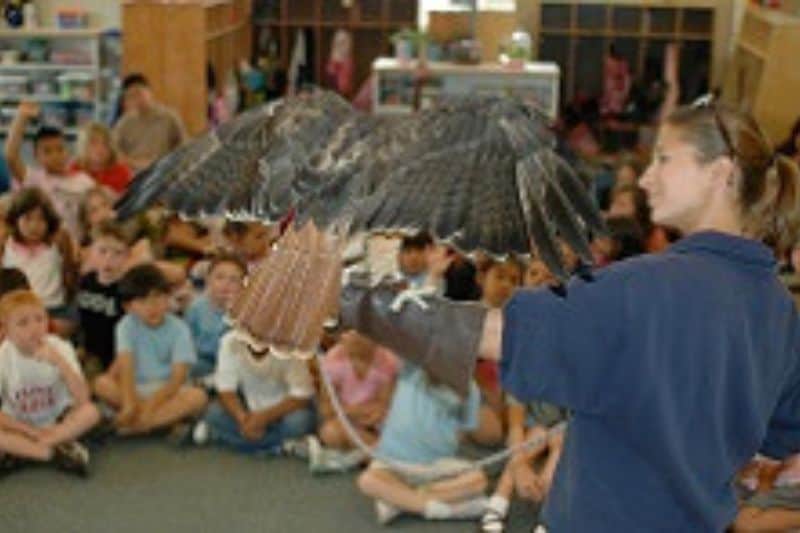 woman holding a large bird in a classroom